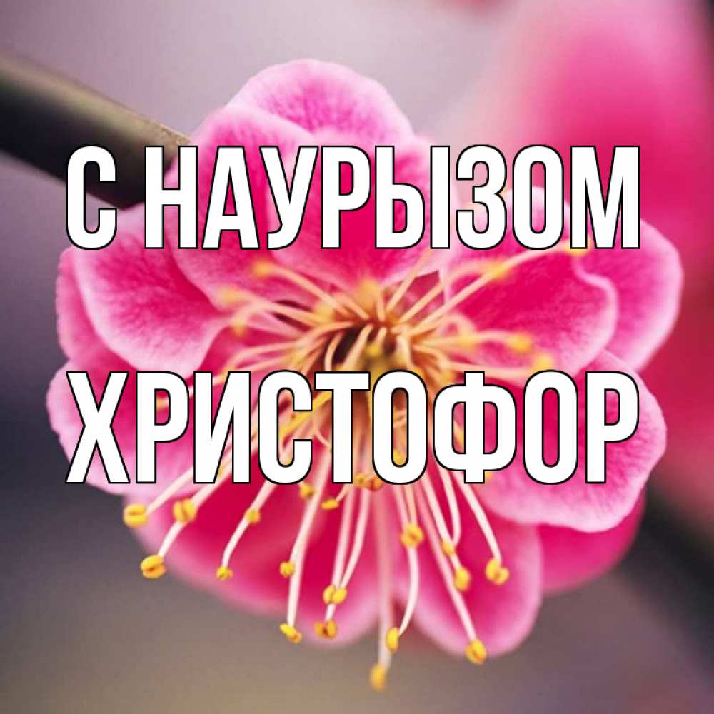 Открытка на каждый день с именем, Христофор С наурызом цветы Прикольная открытка с пожеланием онлайн скачать бесплатно 