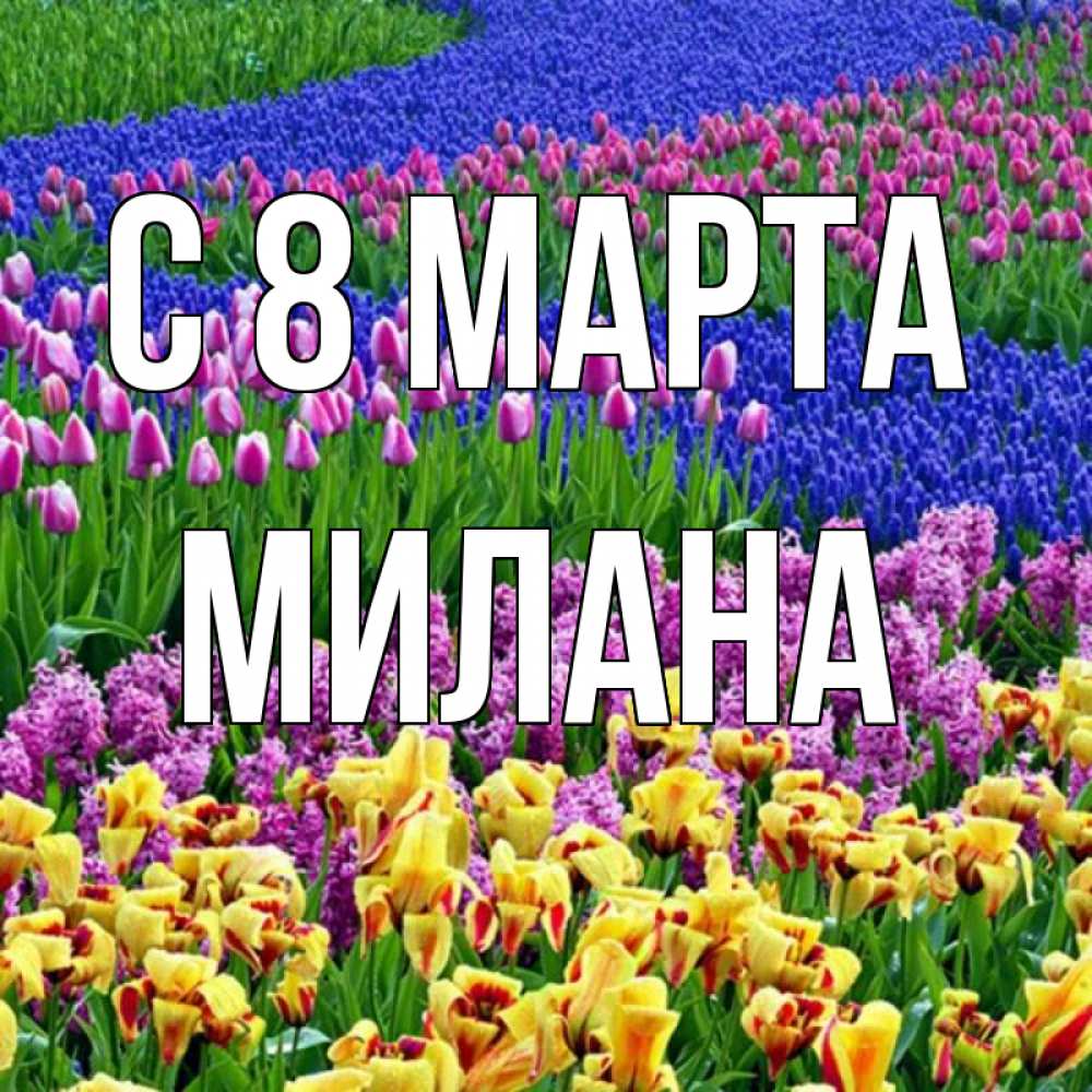 Открытка на каждый день с именем, Милана С 8 МАРТА цветы Прикольная открытка с пожеланием онлайн скачать бесплатно 