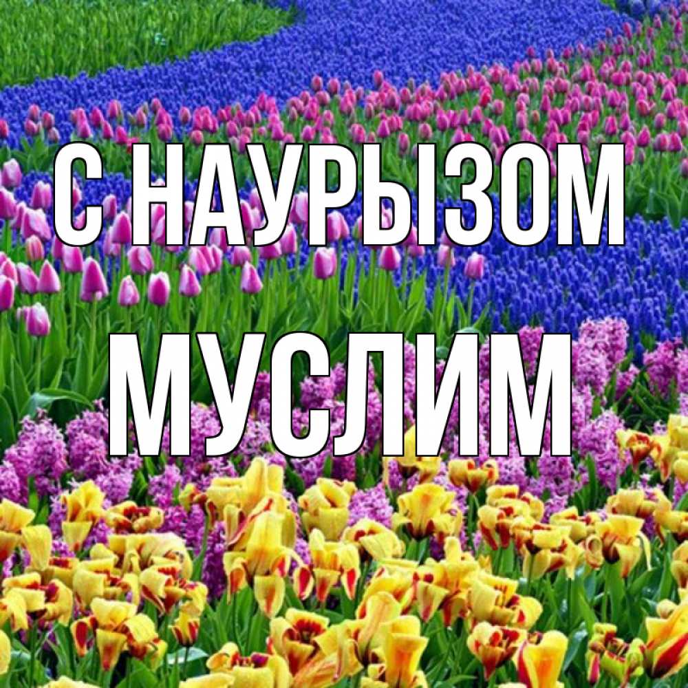 Открытка на каждый день с именем, Муслим С наурызом цветы Прикольная открытка с пожеланием онлайн скачать бесплатно 