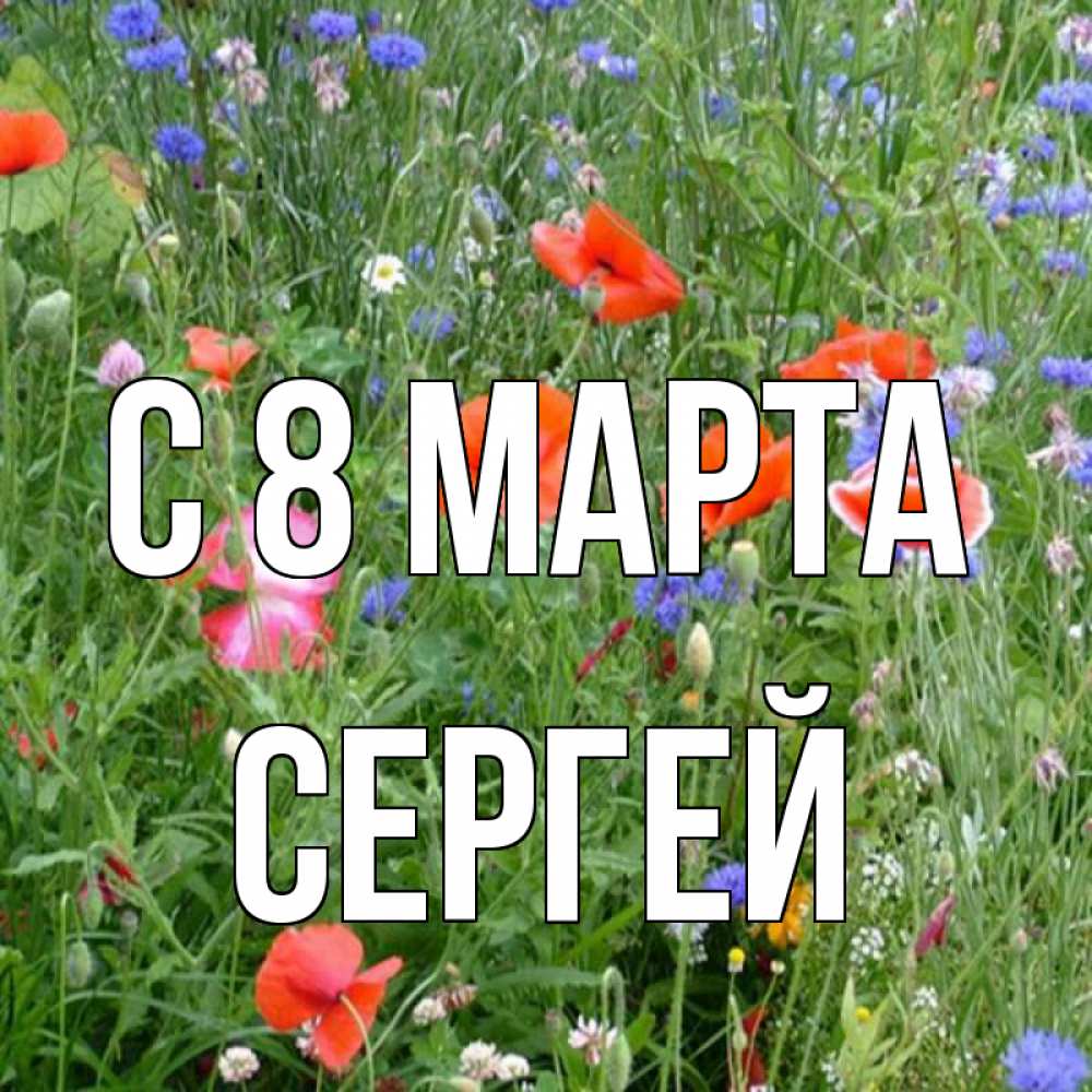 Открытка на каждый день с именем, Сергей С 8 марта международный женский день 4 Прикольная открытка с пожеланием онлайн скачать бесплатно 