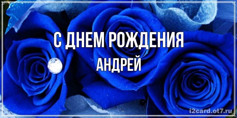 Открытка на каждый день с именем, Андрей С днем рождения синие розы в росе Прикольная открытка с пожеланием онлайн скачать бесплатно 