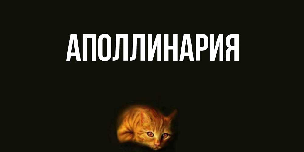 Открытка на каждый день с именем, Аполлинария Главная кот Прикольная открытка с пожеланием онлайн скачать бесплатно 