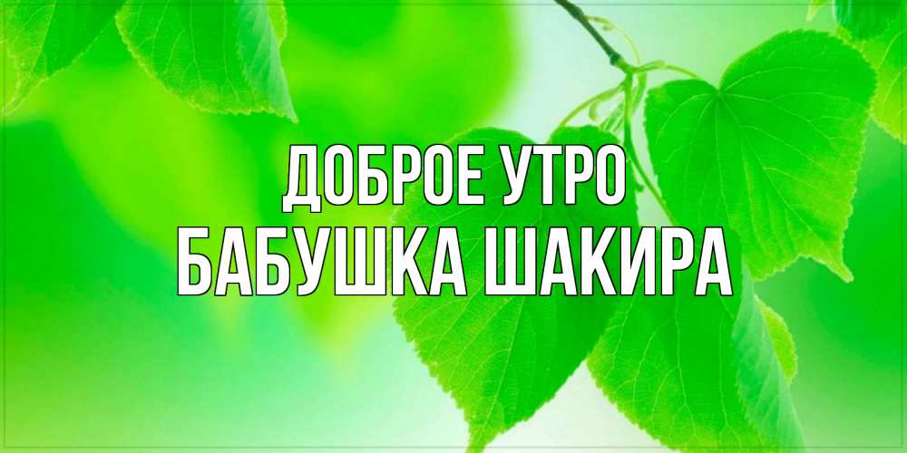 Открытка на каждый день с именем, Бабушка-Шакира Доброе утро доброе утро с березовыми листьями Прикольная открытка с пожеланием онлайн скачать бесплатно 
