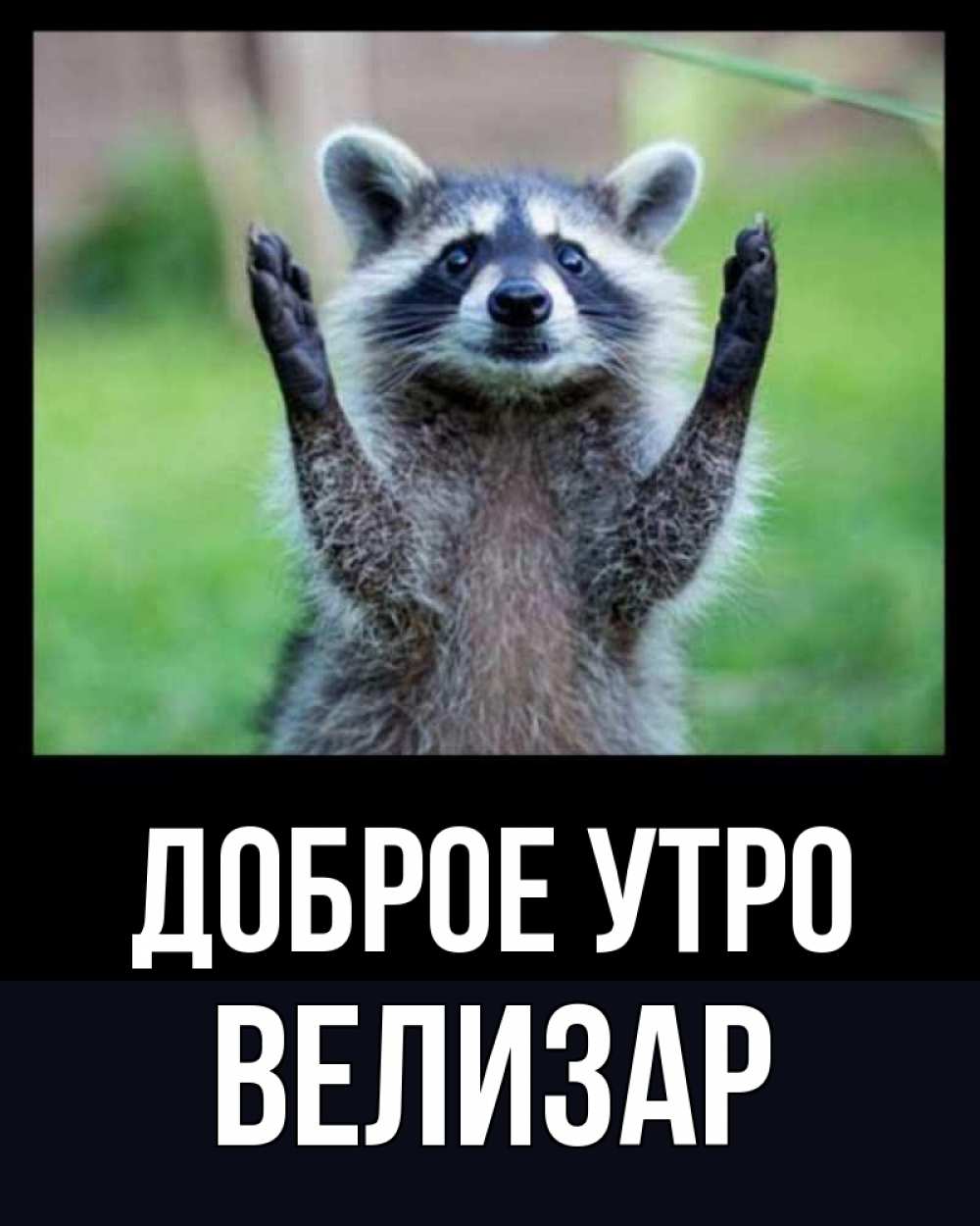 Открытка на каждый день с именем, Велизар Доброе утро хорошее настроение утречком Прикольная открытка с пожеланием онлайн скачать бесплатно 