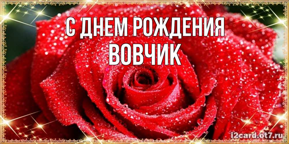 Открытка на каждый день с именем, Вовчик С днем рождения роса и роза. открытка с красивой розой Прикольная открытка с пожеланием онлайн скачать бесплатно 