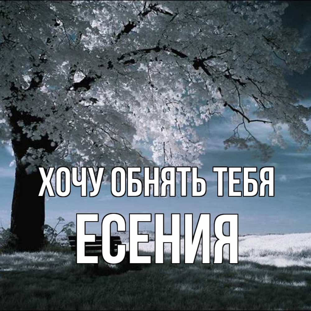 Открытка на каждый день с именем, Есения Хочу обнять тебя дерево Прикольная открытка с пожеланием онлайн скачать бесплатно 