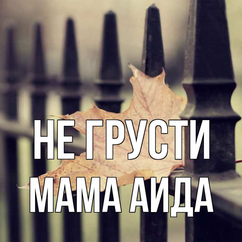 Открытка на каждый день с именем, Мама-Аида Не грусти лист клена Прикольная открытка с пожеланием онлайн скачать бесплатно 