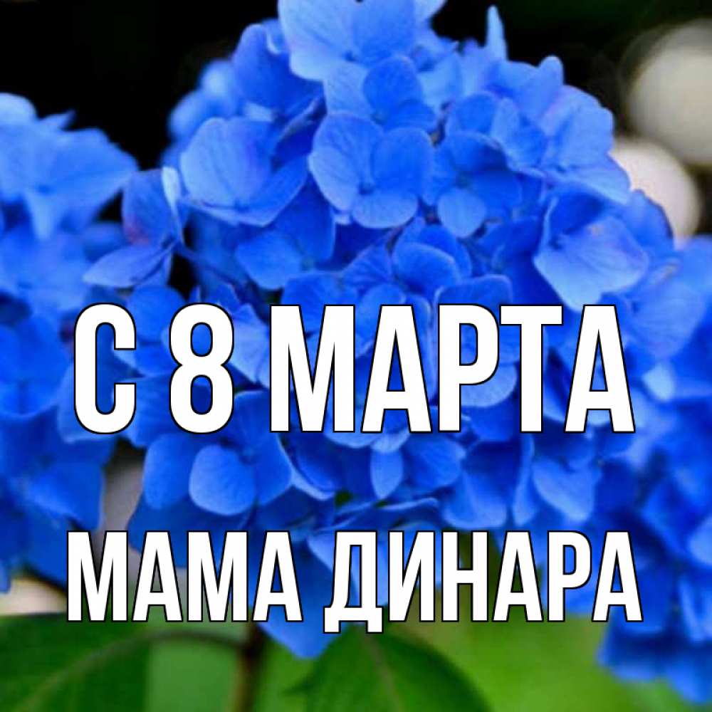 Открытка на каждый день с именем, Мама-Динара С 8 МАРТА синие цветы Прикольная открытка с пожеланием онлайн скачать бесплатно 