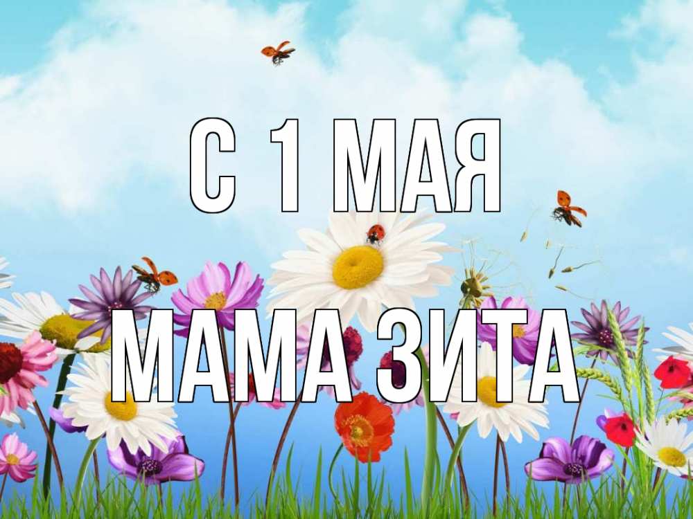 Открытка на каждый день с именем, Мама-Зита С 1 мая С 1 мая Прикольная открытка с пожеланием онлайн скачать бесплатно 