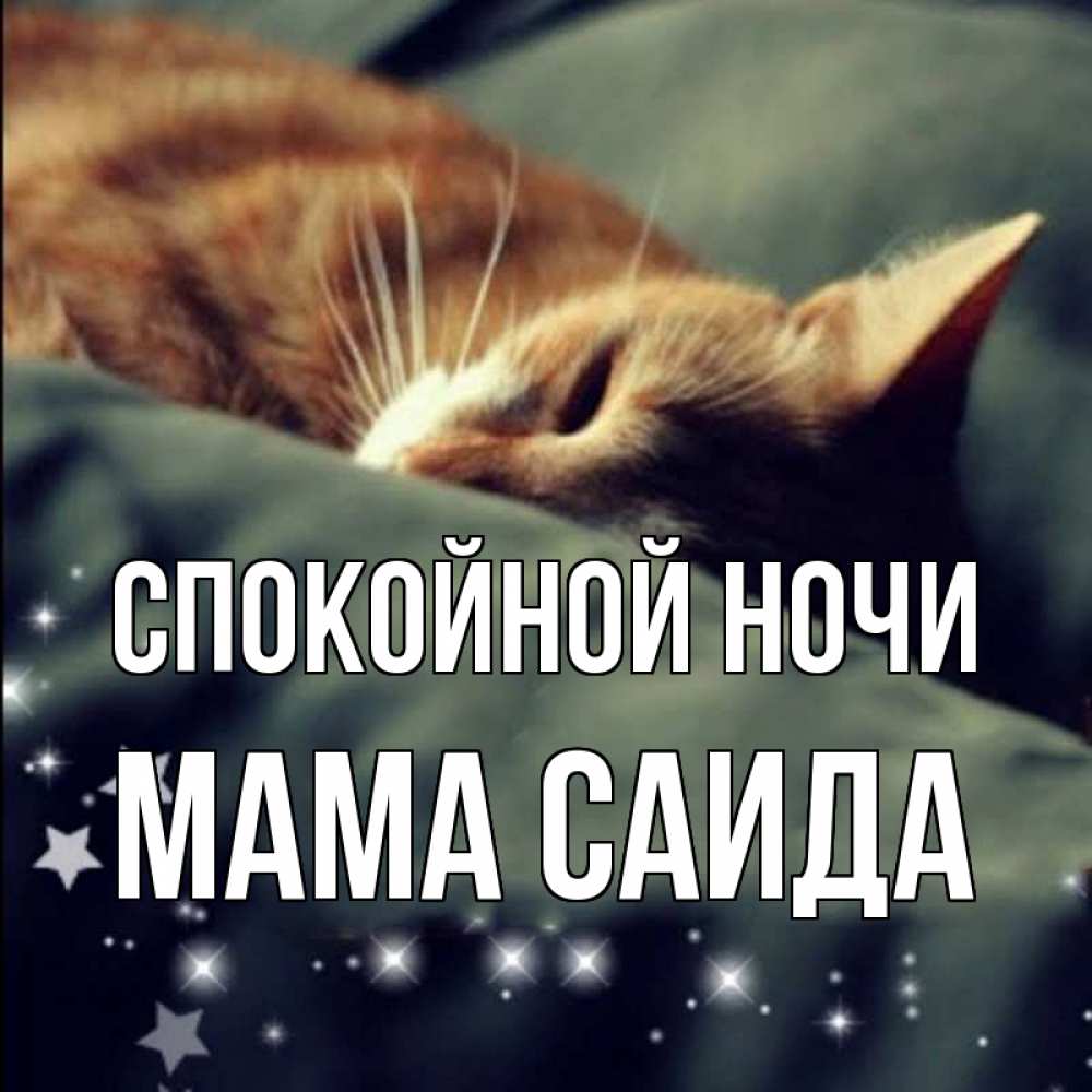 Открытка на каждый день с именем, Мама-Саида Спокойной ночи кроватка Прикольная открытка с пожеланием онлайн скачать бесплатно 