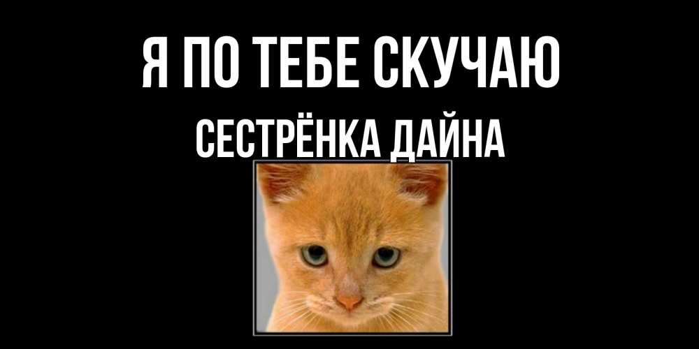 Открытка на каждый день с именем, Сестрёнка-Дайна Я по тебе скучаю открытки рыжий котенок скучает по тебе Прикольная открытка с пожеланием онлайн скачать бесплатно 