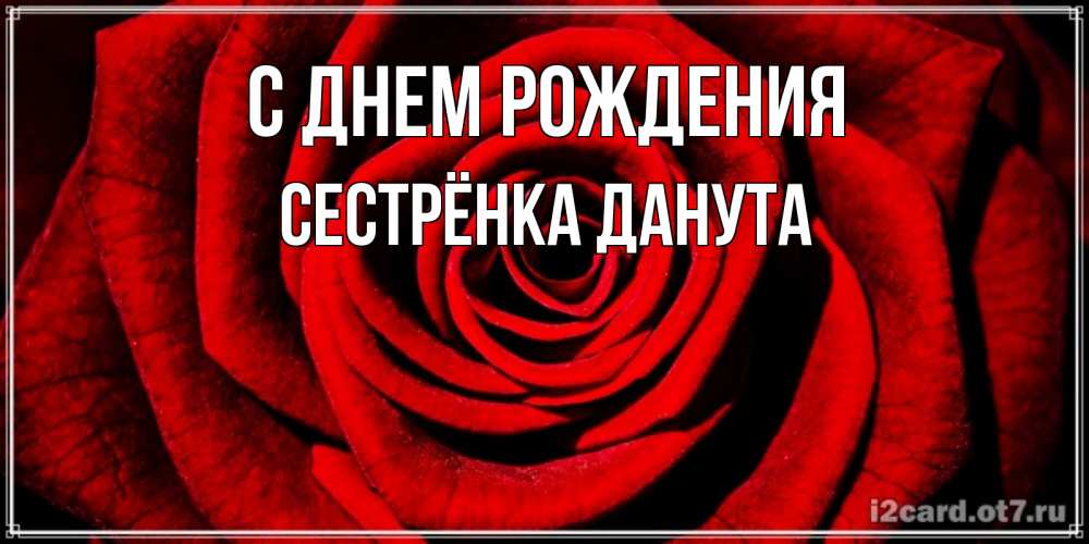 Открытка на каждый день с именем, Сестрёнка-Данута С днем рождения алая роза Прикольная открытка с пожеланием онлайн скачать бесплатно 