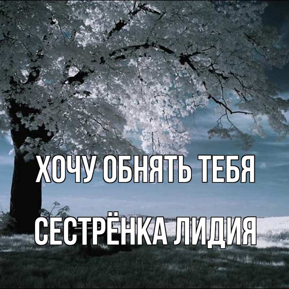 Открытка на каждый день с именем, Сестрёнка-Лидия Хочу обнять тебя дерево Прикольная открытка с пожеланием онлайн скачать бесплатно 