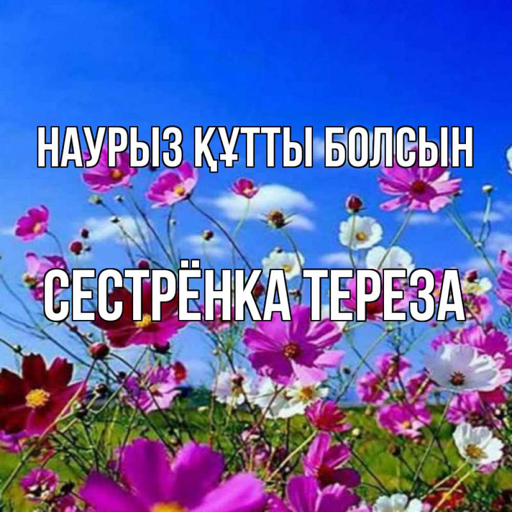 Открытка на каждый день с именем, Сестрёнка-Тереза Наурыз құтты болсын цветы Прикольная открытка с пожеланием онлайн скачать бесплатно 