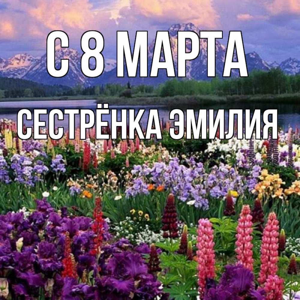 Открытка на каждый день с именем, Сестрёнка-Эмилия С 8 МАРТА международный женский день Прикольная открытка с пожеланием онлайн скачать бесплатно 