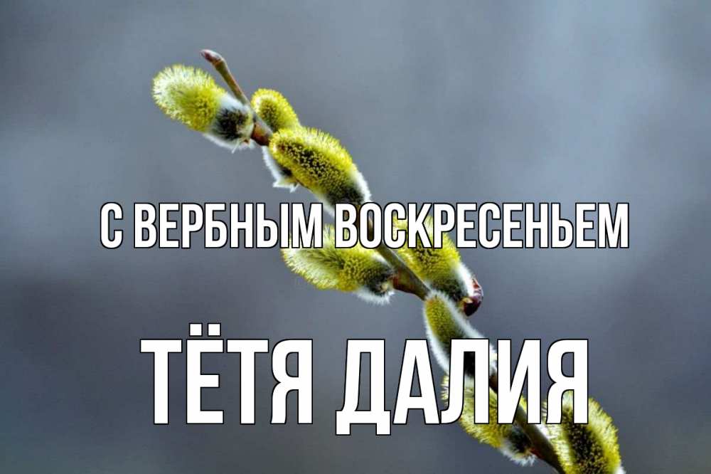 Открытка на каждый день с именем, Тётя-Далия С вербным воскресеньем верба Прикольная открытка с пожеланием онлайн скачать бесплатно 