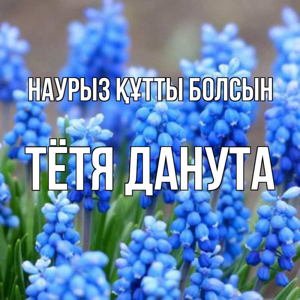 Открытка на каждый день с именем, Тётя-Данута Наурыз құтты болсын Поздравительная открытка для женщин с цветами на праздничную дату Прикольная открытка с пожеланием онлайн скачать бесплатно 
