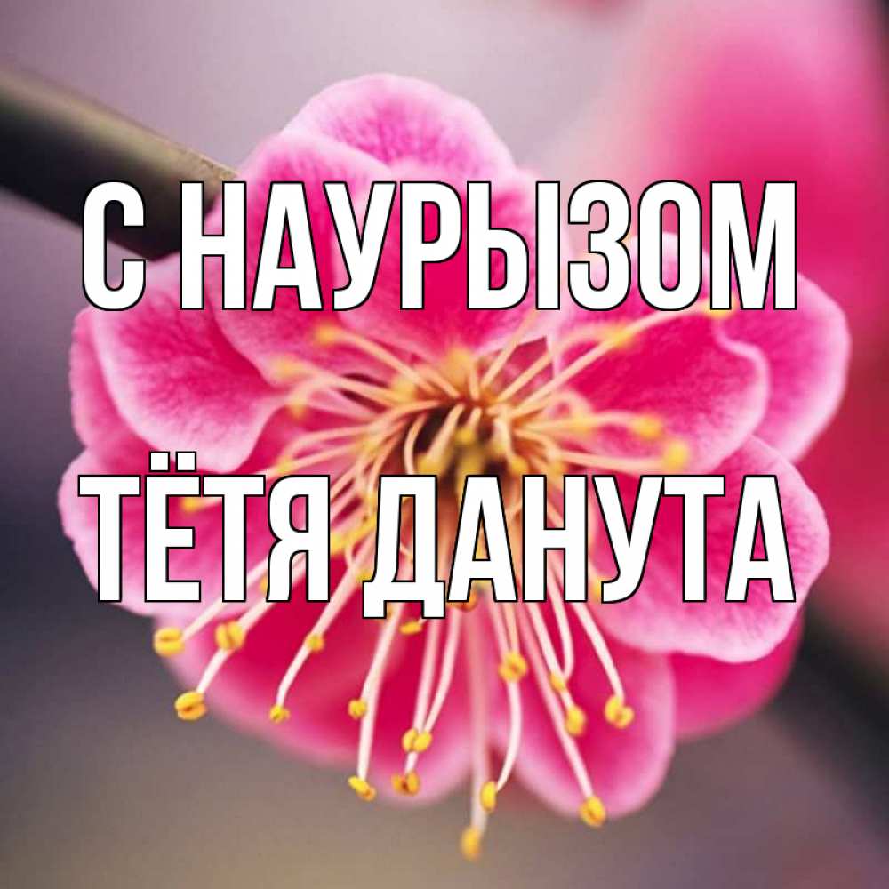 Открытка на каждый день с именем, Тётя-Данута С наурызом цветы Прикольная открытка с пожеланием онлайн скачать бесплатно 