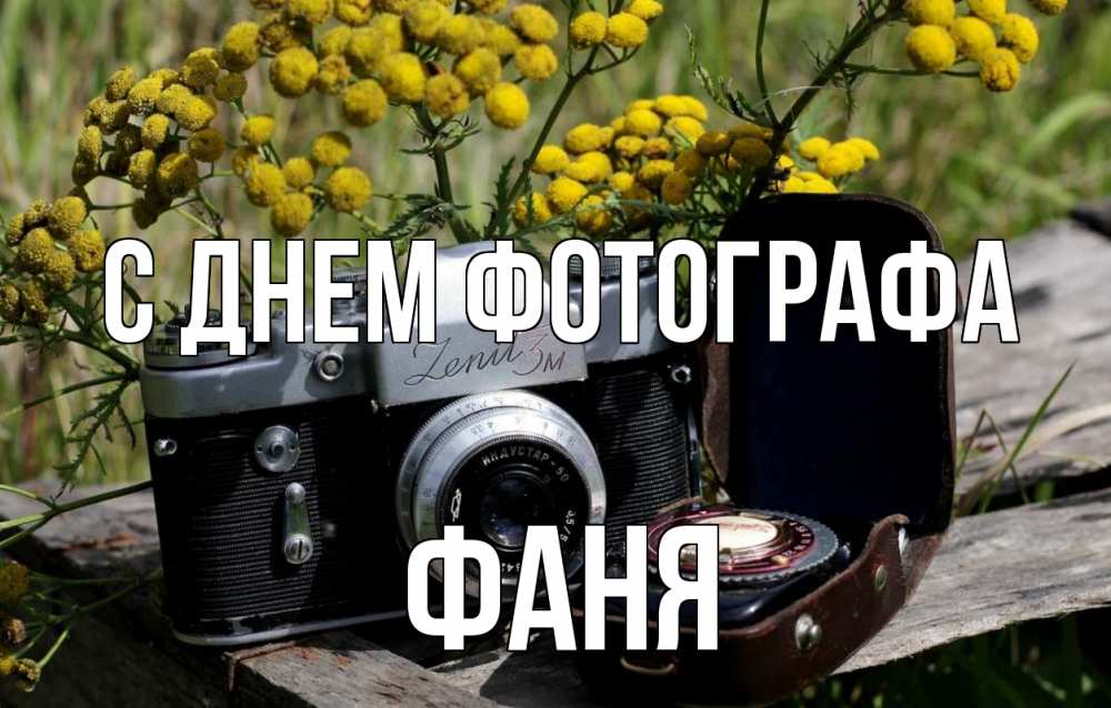 Открытка на каждый день с именем, Фаня С днем фотографа с днем фотографа Прикольная открытка с пожеланием онлайн скачать бесплатно 