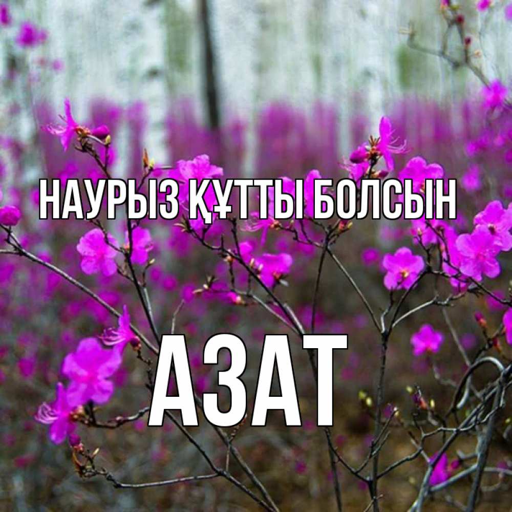 Открытка на каждый день с именем, Азат Наурыз құтты болсын дикие цветы Прикольная открытка с пожеланием онлайн скачать бесплатно 