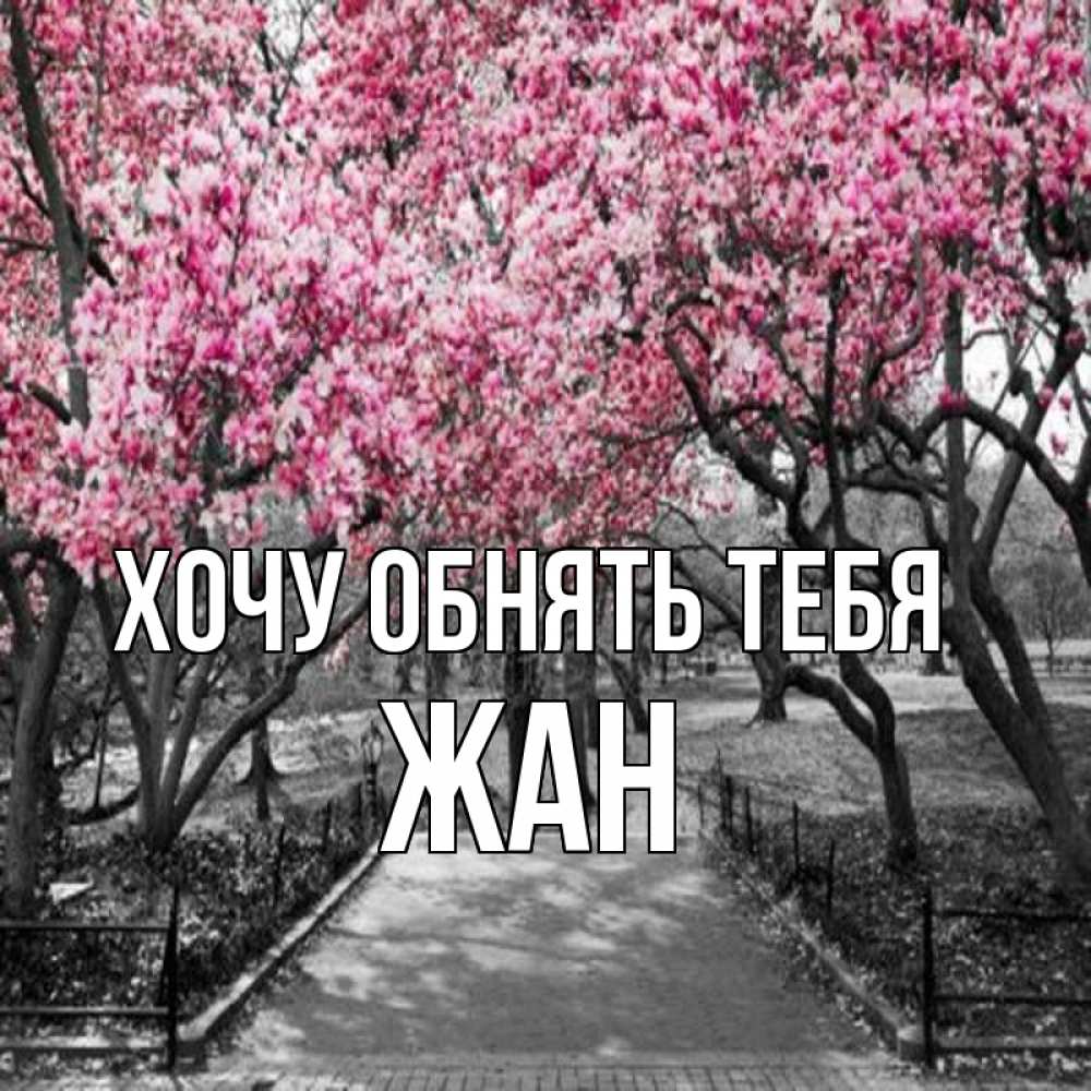 Открытка на каждый день с именем, Жан Хочу обнять тебя обработанное фото Прикольная открытка с пожеланием онлайн скачать бесплатно 