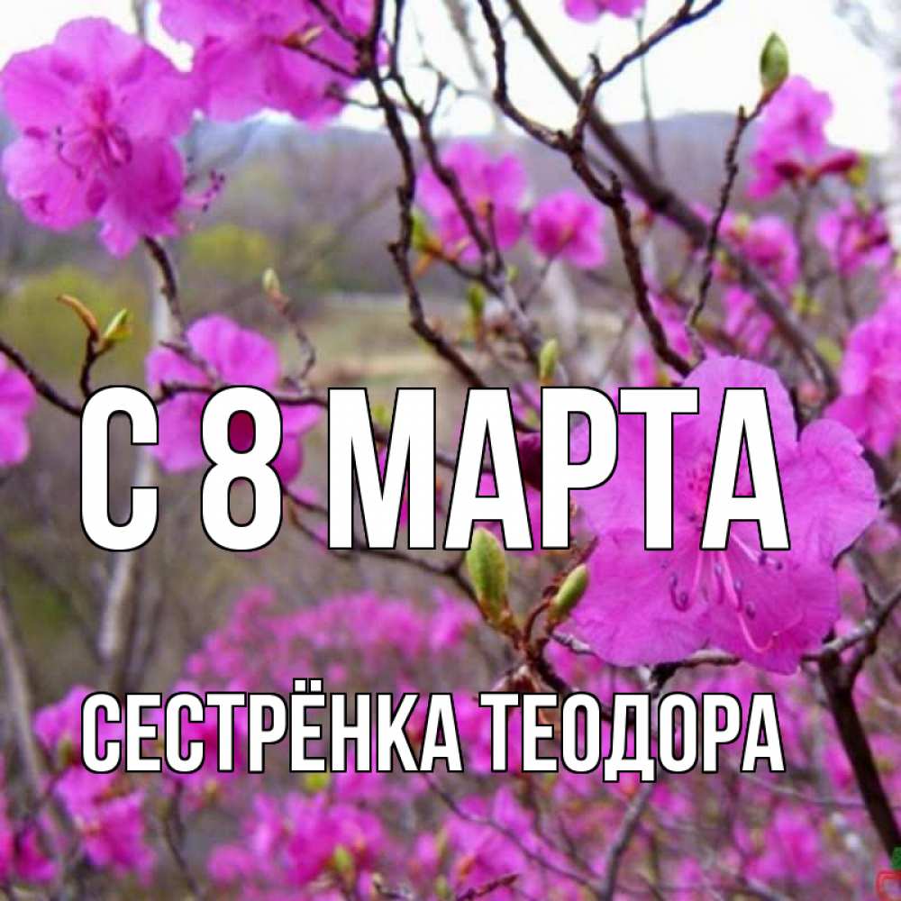 Открытка на каждый день с именем, Сестрёнка-Теодора С 8 МАРТА международный женский день Прикольная открытка с пожеланием онлайн скачать бесплатно 