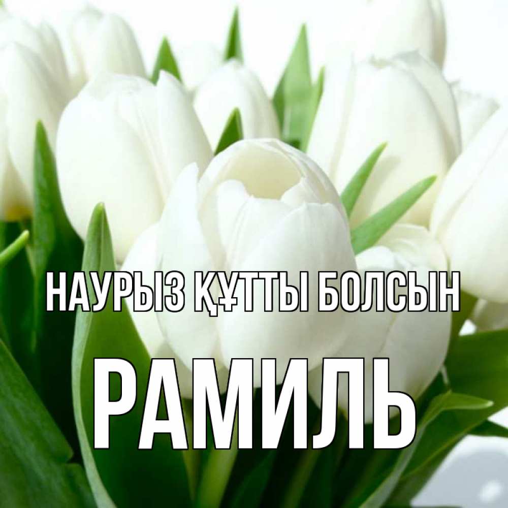 Открытка на каждый день с именем, Рамиль Наурыз құтты болсын цветы Прикольная открытка с пожеланием онлайн скачать бесплатно 