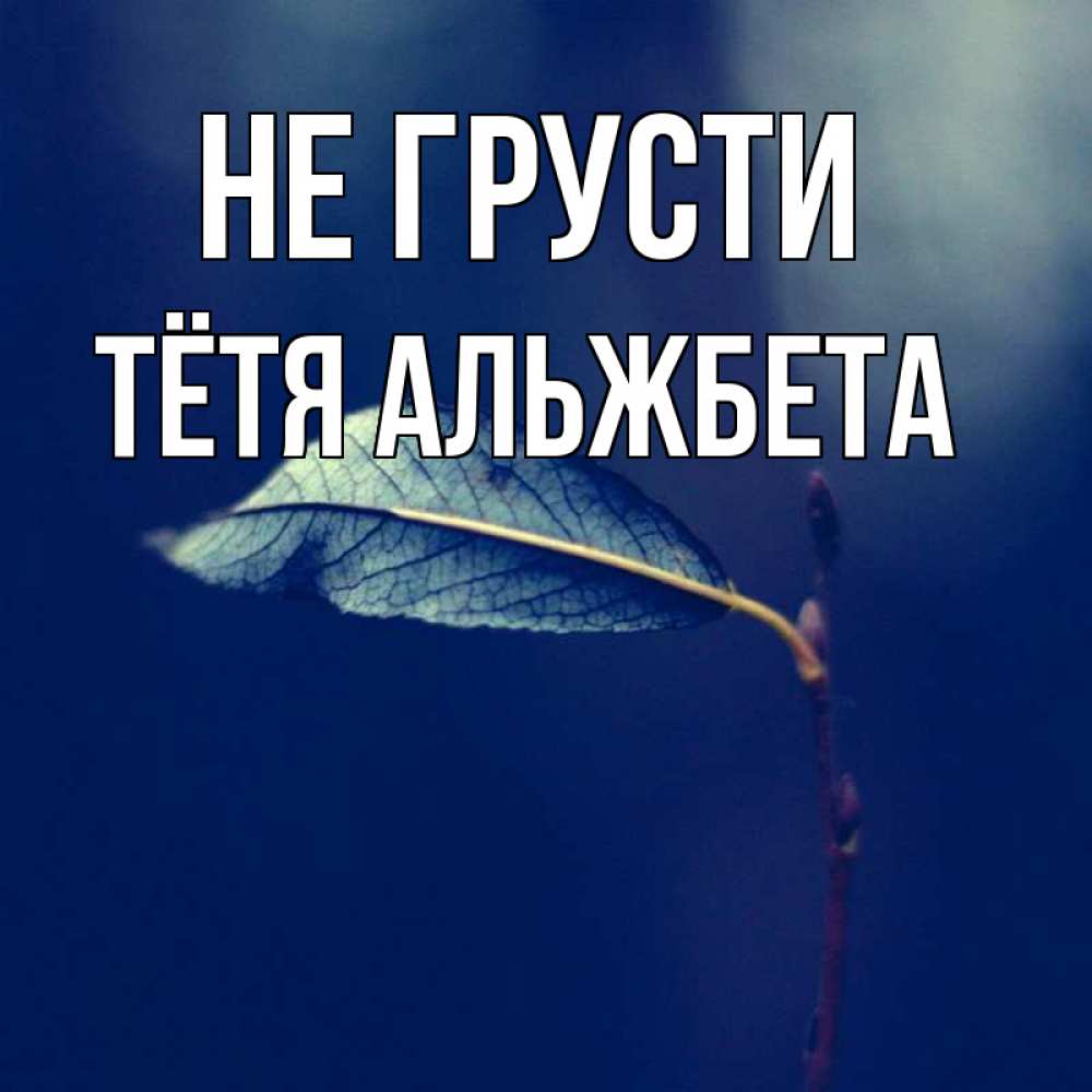 Открытка на каждый день с именем, Тётя-Альжбета Не грусти растение Прикольная открытка с пожеланием онлайн скачать бесплатно 