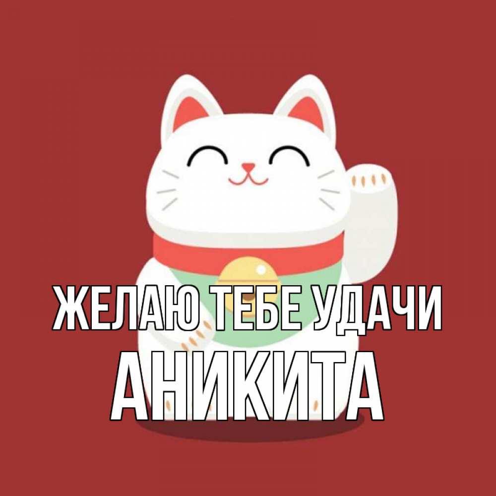 Открытка на каждый день с именем, Аникита Желаю тебе удачи игрушка Прикольная открытка с пожеланием онлайн скачать бесплатно 