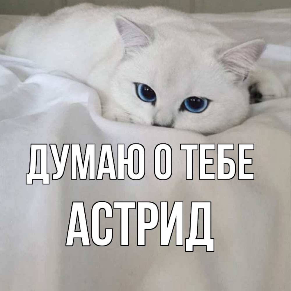 Открытка на каждый день с именем, Астрид Думаю о тебе я очень по тебе скучаю и тоскую Прикольная открытка с пожеланием онлайн скачать бесплатно 