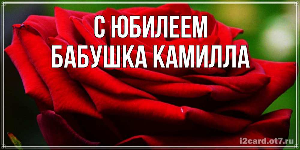 Открытка на каждый день с именем, Бабушка-Камилла С юбилеем розочка очень красивая Прикольная открытка с пожеланием онлайн скачать бесплатно 