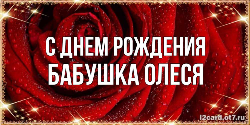 Открытка на каждый день с именем, Бабушка-Олеся С днем рождения роса на розе блестящая в лучах солнца Прикольная открытка с пожеланием онлайн скачать бесплатно 