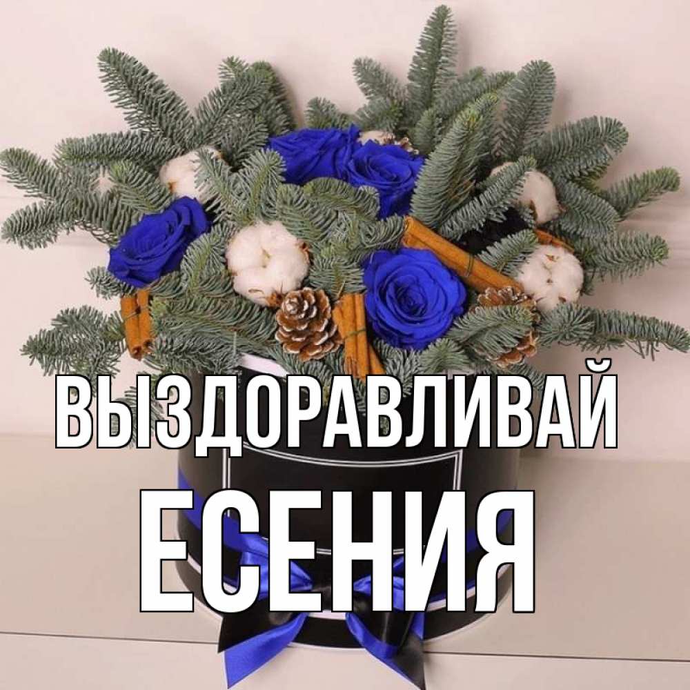 Открытка на каждый день с именем, Есения Выздоравливай короче кто то загрузил эти шишки Прикольная открытка с пожеланием онлайн скачать бесплатно 