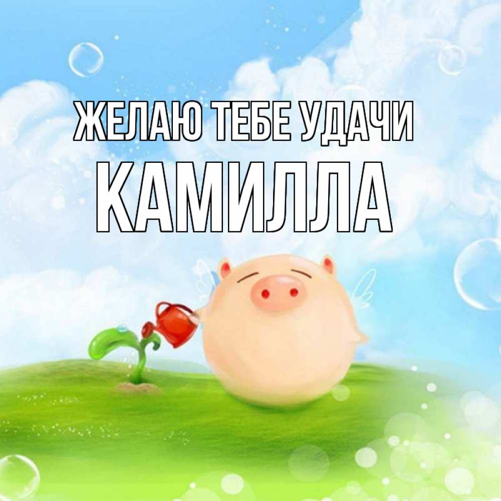 Открытка на каждый день с именем, Камилла Желаю тебе удачи поросенок поливает цветок. летнее настроение Прикольная открытка с пожеланием онлайн скачать бесплатно 