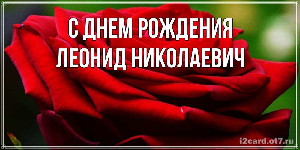 Открытка на каждый день с именем, Леонид-Николаевич С днем рождения розочка очень красивая Прикольная открытка с пожеланием онлайн скачать бесплатно 