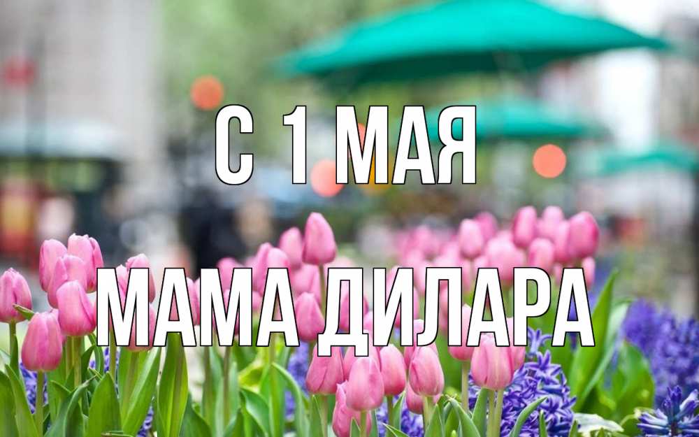 Открытка на каждый день с именем, Мама-Дилара С 1 мая С 1 мая Прикольная открытка с пожеланием онлайн скачать бесплатно 