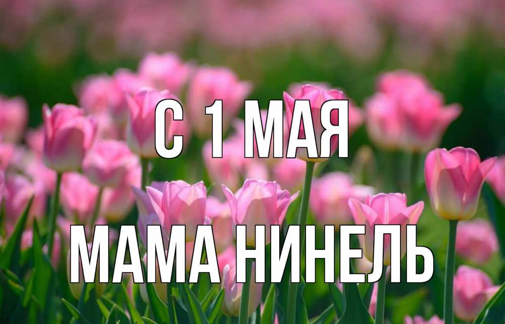 Открытка на каждый день с именем, Мама-Нинель С 1 мая С 1 мая Прикольная открытка с пожеланием онлайн скачать бесплатно 