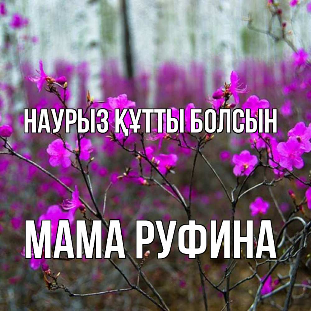 Открытка на каждый день с именем, Мама-Руфина Наурыз құтты болсын дикие цветы Прикольная открытка с пожеланием онлайн скачать бесплатно 