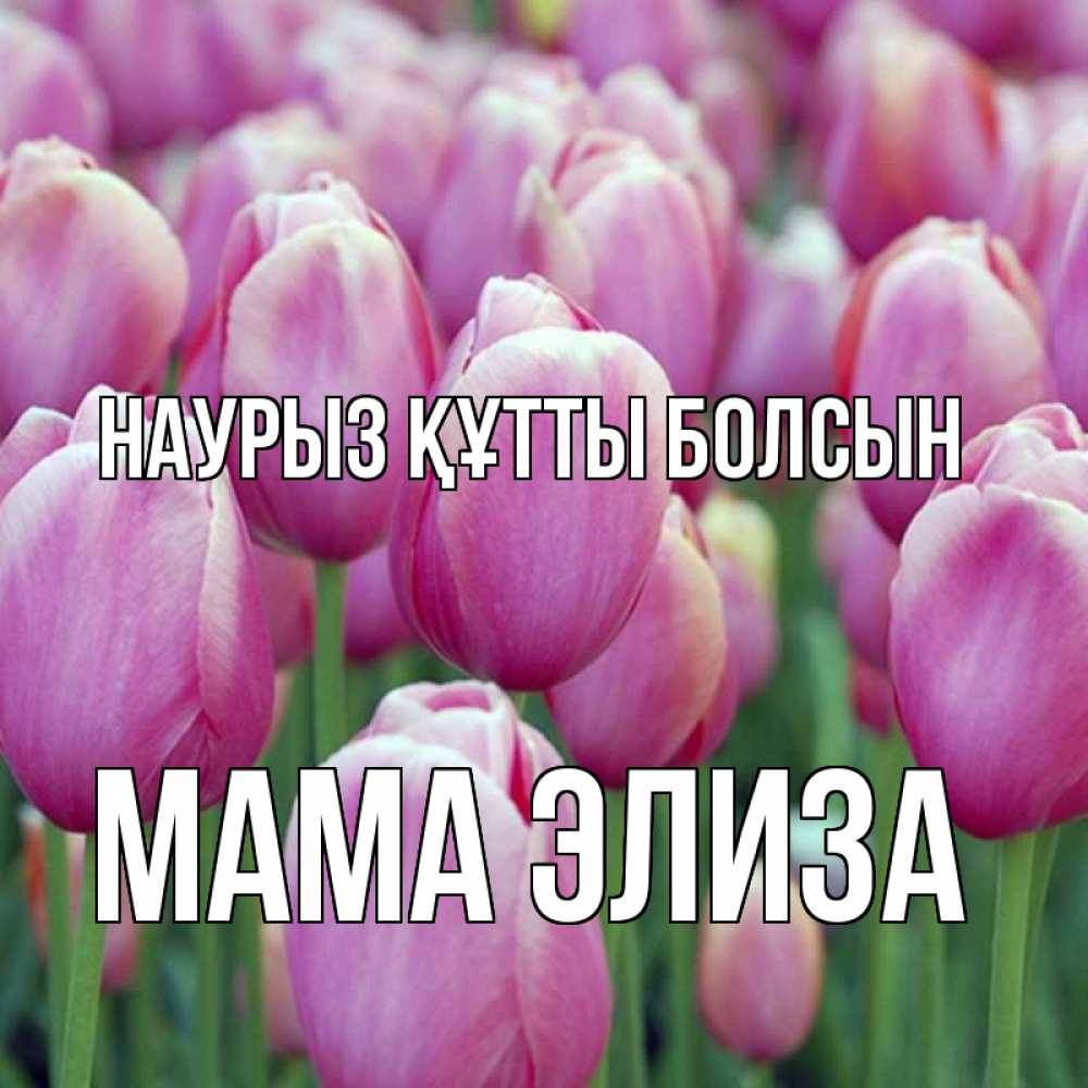 Открытка на каждый день с именем, Мама-Элиза Наурыз құтты болсын на наурыз  день 3 Прикольная открытка с пожеланием онлайн скачать бесплатно 