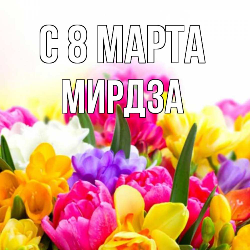 Открытка на каждый день с именем, Мирдза С 8 МАРТА тюльпаны Прикольная открытка с пожеланием онлайн скачать бесплатно 