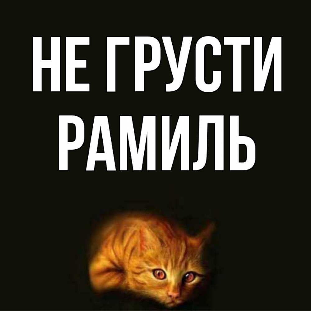 Открытка на каждый день с именем, Рамиль Не грусти лежащий кот в темноте Прикольная открытка с пожеланием онлайн скачать бесплатно 