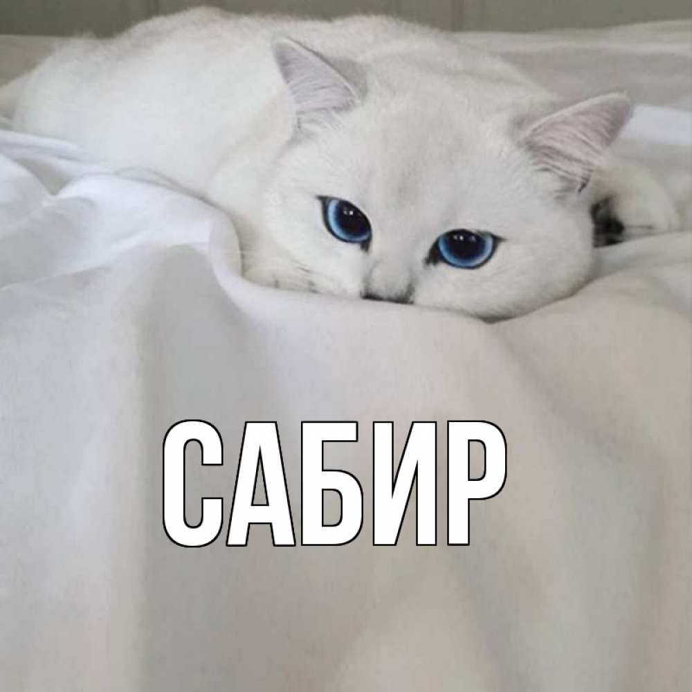 Открытка на каждый день с именем, Сабир Главная я очень по тебе скучаю и тоскую Прикольная открытка с пожеланием онлайн скачать бесплатно 