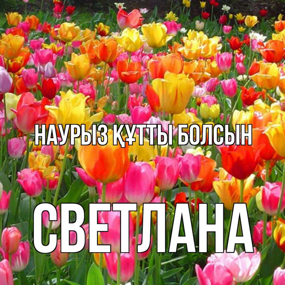 Открытка на каждый день с именем, Светлана Наурыз құтты болсын на наурыз  ура ура Прикольная открытка с пожеланием онлайн скачать бесплатно 