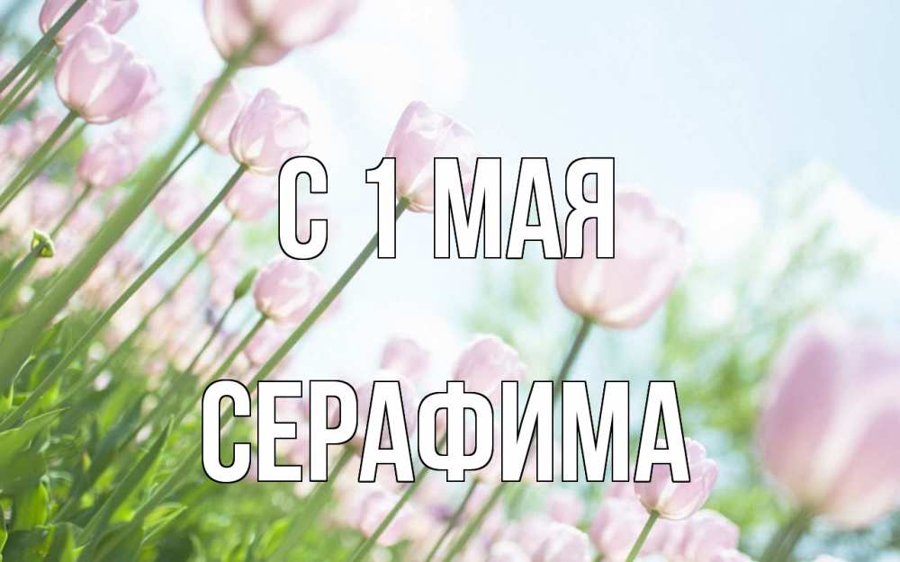 Открытка на каждый день с именем, Серафима С 1 мая С 1 мая Прикольная открытка с пожеланием онлайн скачать бесплатно 