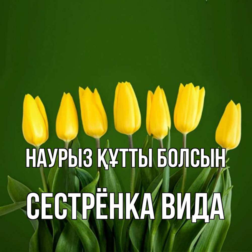 Открытка на каждый день с именем, Сестрёнка-Вида Наурыз құтты болсын желтого цвета 3 Прикольная открытка с пожеланием онлайн скачать бесплатно 