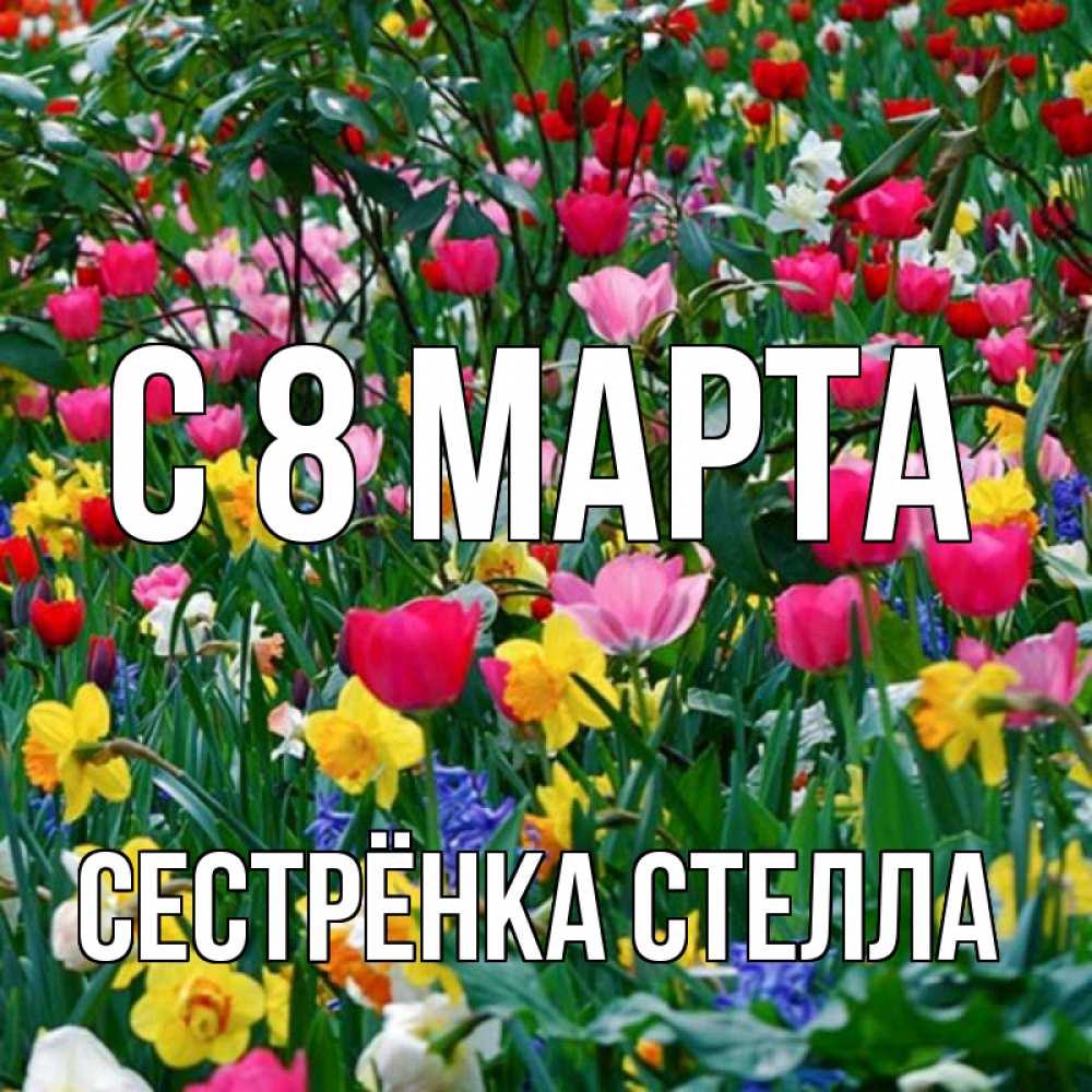 Открытка на каждый день с именем, Сестрёнка-Стелла С 8 МАРТА с международным женским днем поздравления для женщины Прикольная открытка с пожеланием онлайн скачать бесплатно 