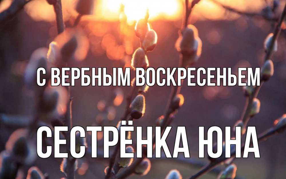 Открытка на каждый день с именем, Сестрёнка-Юна С вербным воскресеньем верба Прикольная открытка с пожеланием онлайн скачать бесплатно 