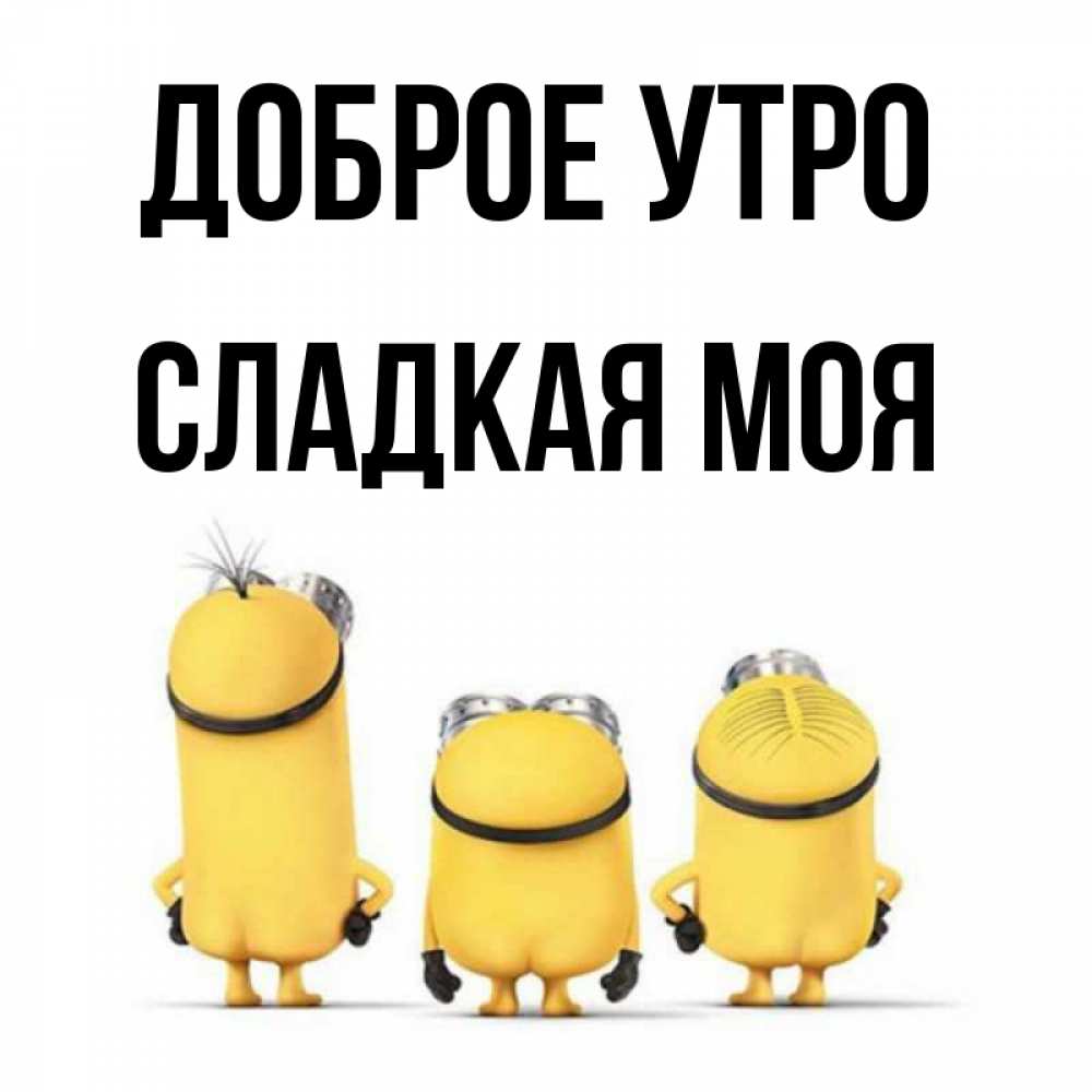Открытка на каждый день с именем, Сладкая-моя Доброе утро подписать открытку онлайн бесплатно Прикольная открытка с пожеланием онлайн скачать бесплатно 