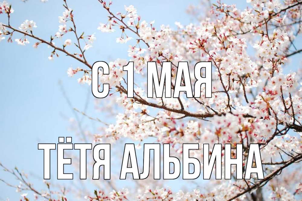 Открытка на каждый день с именем, Тётя-Альбина С 1 мая С 1 мая Прикольная открытка с пожеланием онлайн скачать бесплатно 