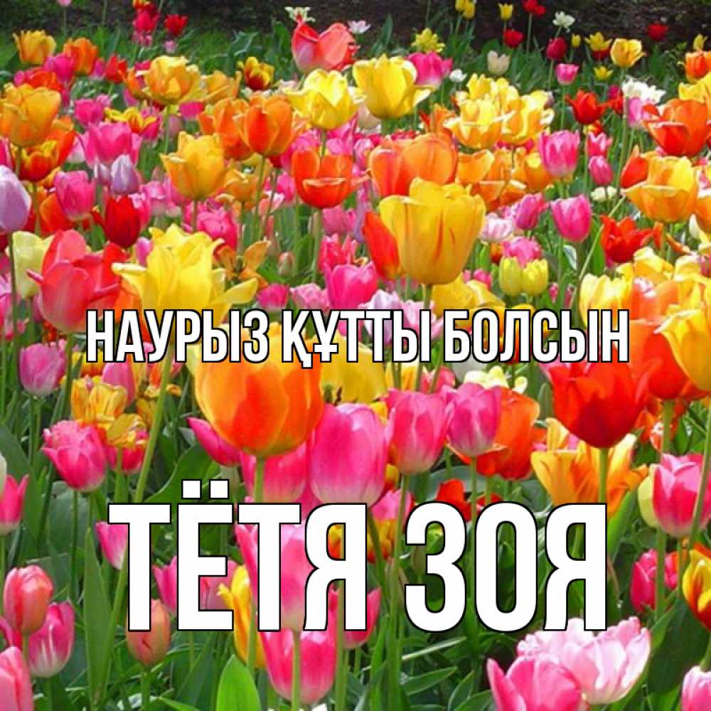 Открытка на каждый день с именем, Тётя-Зоя Наурыз құтты болсын на наурыз  ура ура Прикольная открытка с пожеланием онлайн скачать бесплатно 